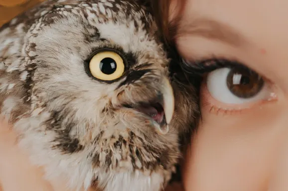 Betitall Casino Podrška